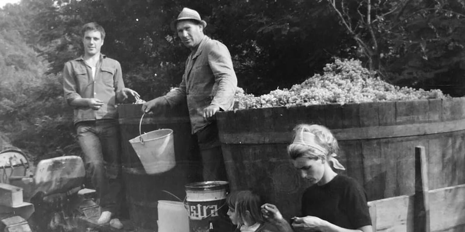 Vinařství Mare Santo