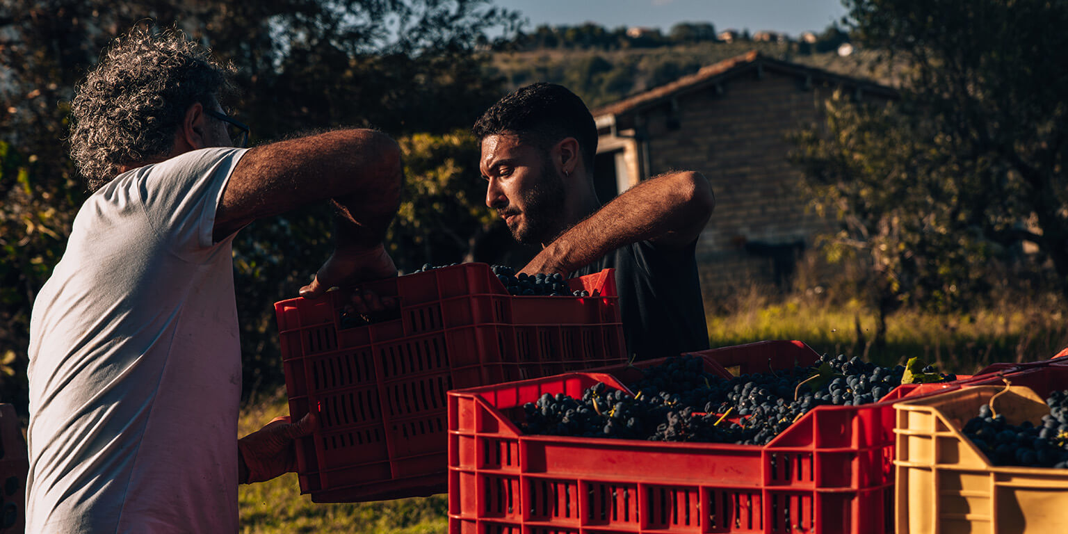 Vinařství Zappacosta Vini